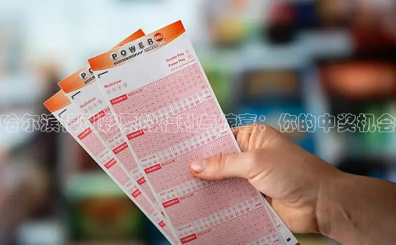 哈尔滨福利彩票的福利与惊喜：你的中奖机会